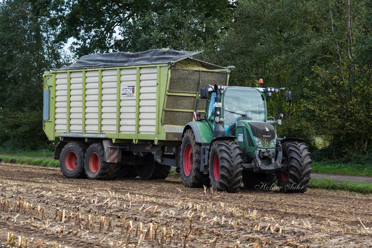 Bild 164 - Maisernte